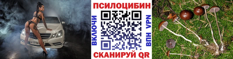 хочу наркоту  mega онион  Псилоцибиновые грибы прущие грибы  Усолье 